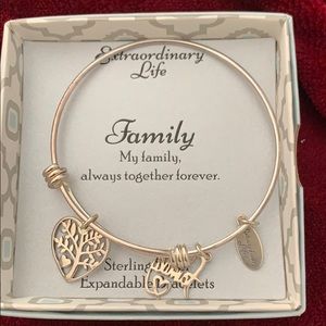 Sterling Silver Extraordinary Life Bracelet